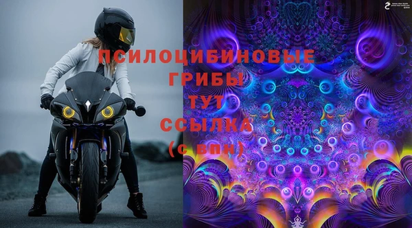 ПСИЛОЦИБИНОВЫЕ ГРИБЫ Алексин