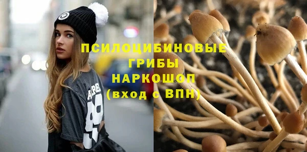 ПСИЛОЦИБИНОВЫЕ ГРИБЫ Алексин