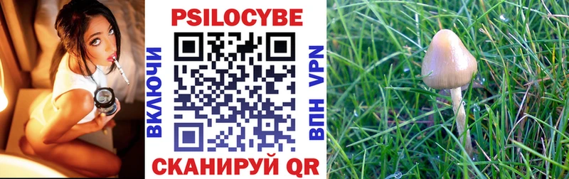 Псилоцибиновые грибы MAGIC MUSHROOMS  Бакал 